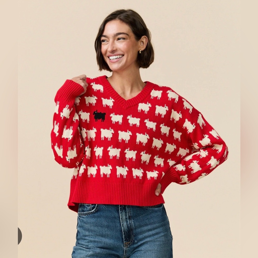 Warm & Wonderful Black sheep sweater